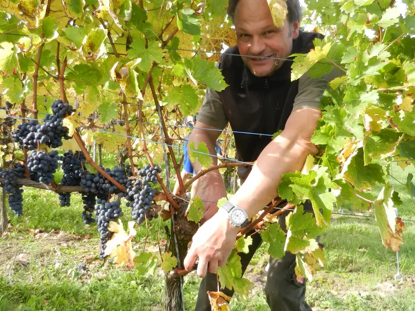 Weingut Jägle in Kenzingen